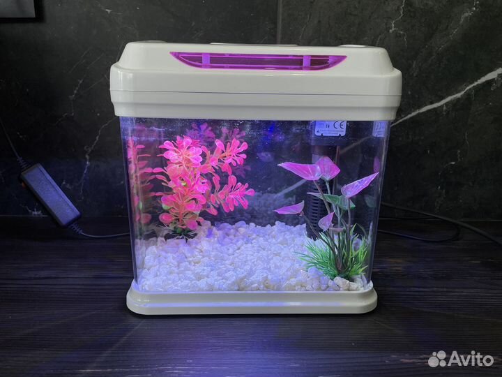 Аквариум с фильтром и светом