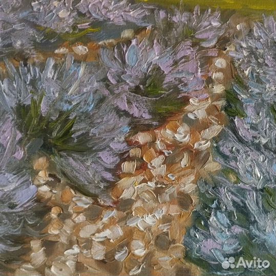 Картина Прованс Лавандовые поля пейзаж 30х40 см