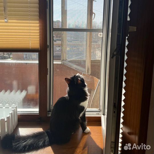 Шторы плиссе