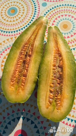 Огурдыня семена