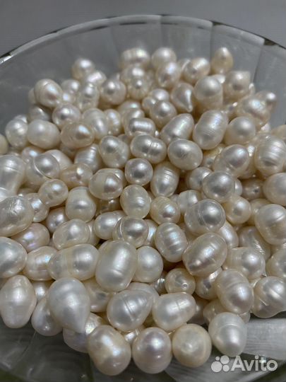 Жемчуг для Васту