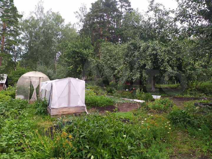 Участок 4 сот. (СНТ, ДНП)