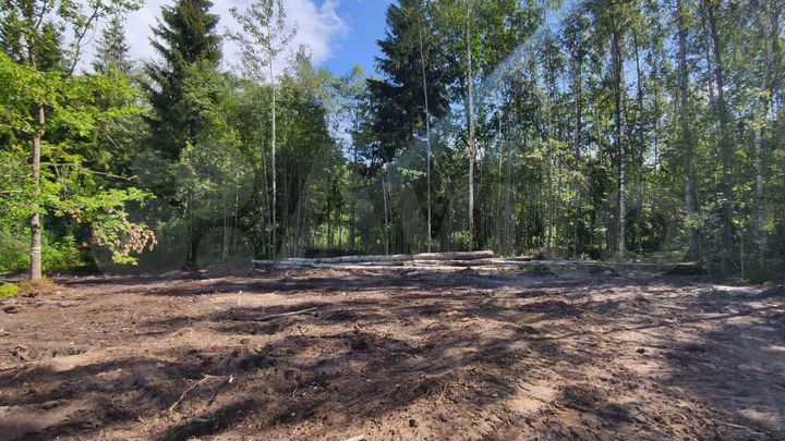 Участок 10 сот. (ИЖС)