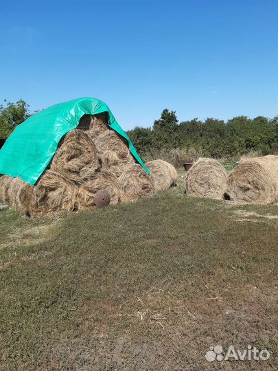 Сено в тюках