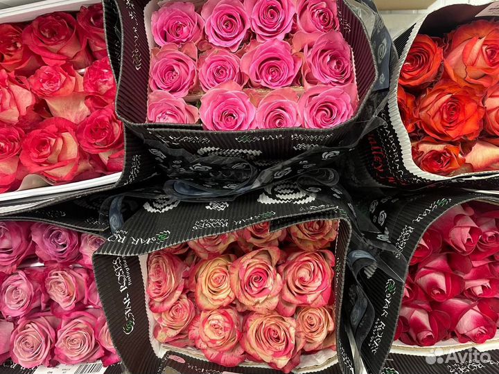 Цветы розы и букеты с доставкой