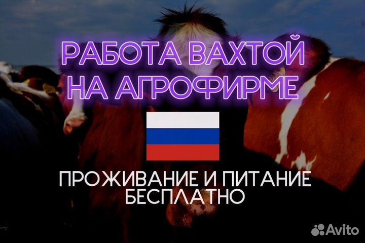 Разнорабочий на агрофирму без опыта