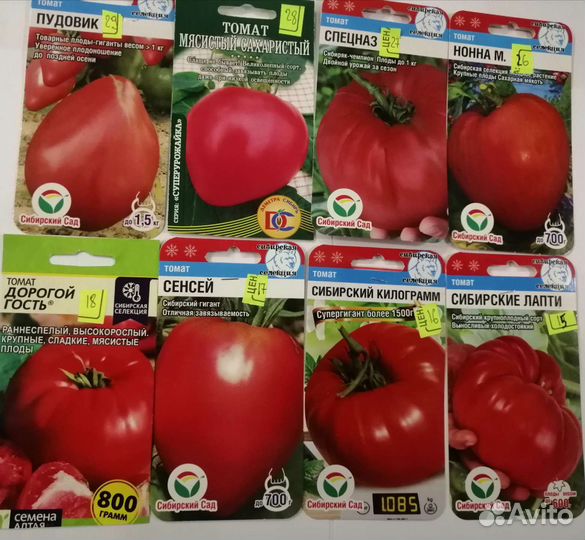 Продам рассаду помидор в отдельных стаканчиках