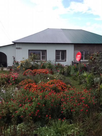 Дом 66,4 м² на участке 17 сот.