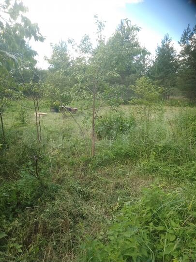 Участок 15 сот. (ИЖС)