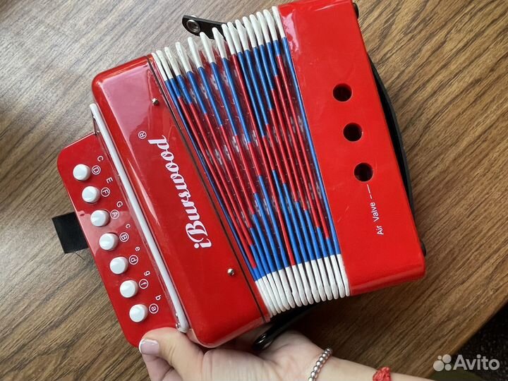 Гармонь детская