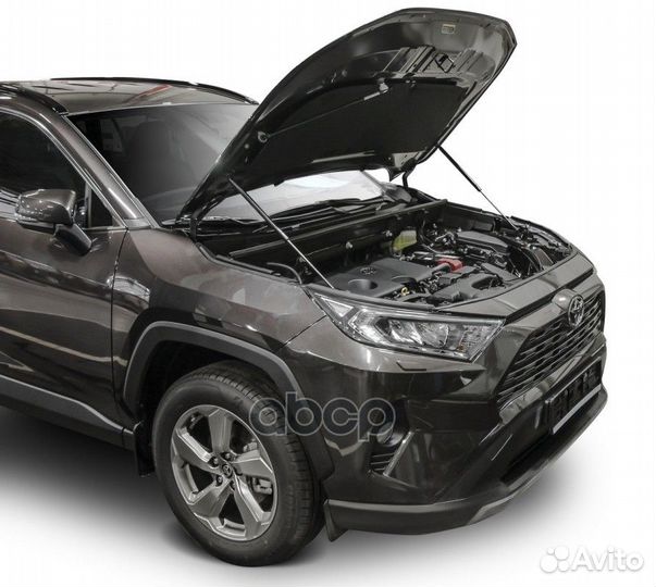 Амортизаторы капота (2 шт.) Toyota RAV4 (2019)