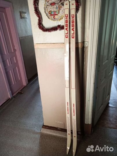 Беговые лыжи