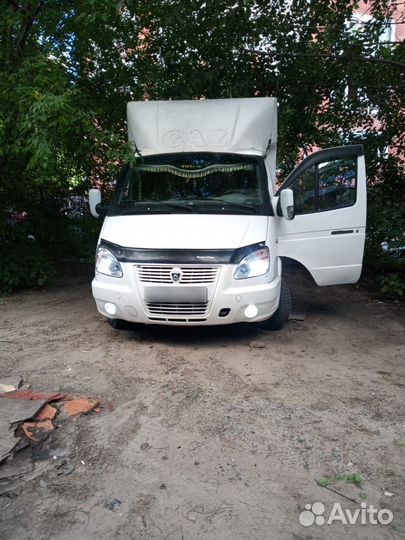 Водитель со своей газелью