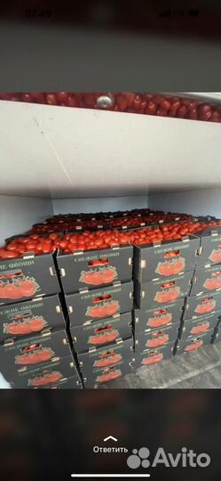 Помидоры сливка оптом