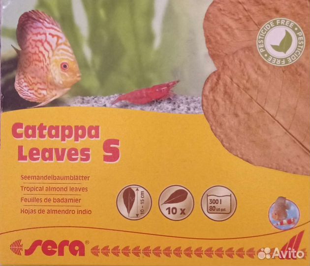 Листья индийского миндаля