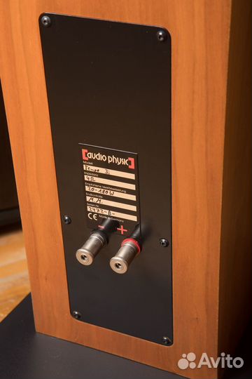 Напольная акустика Audio Physic Tempo 3i