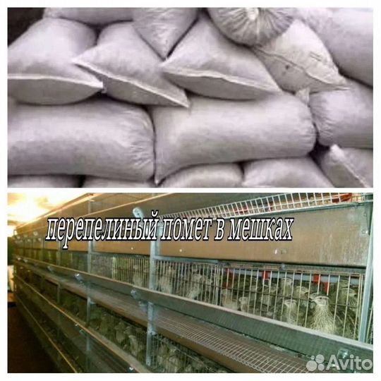 Перепелиный помет