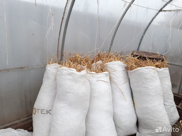 Солома в мешках для подстилки. Свежий урожай
