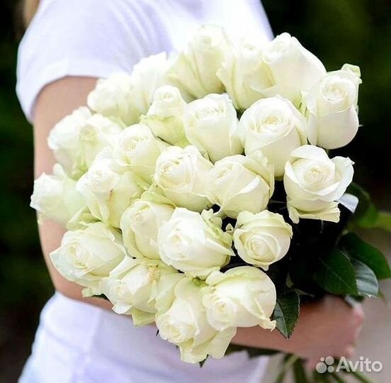 Высокие розы Доставка цветов