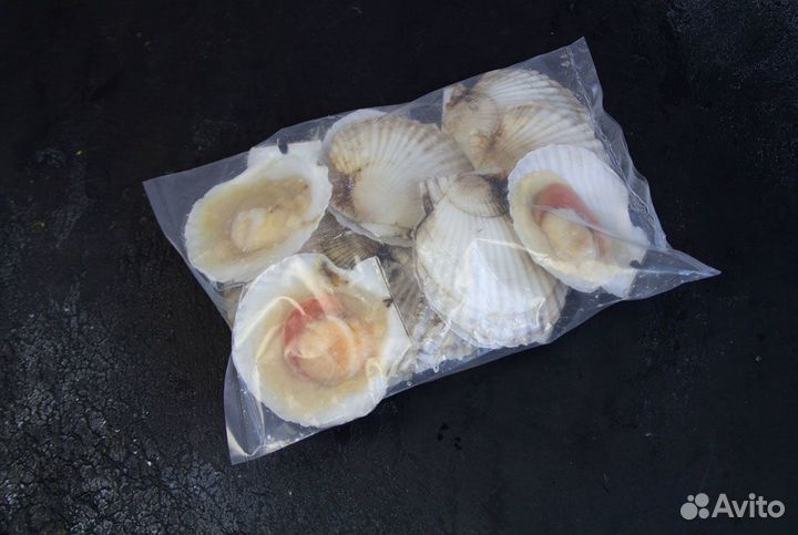 Гребешок морской, с икрой