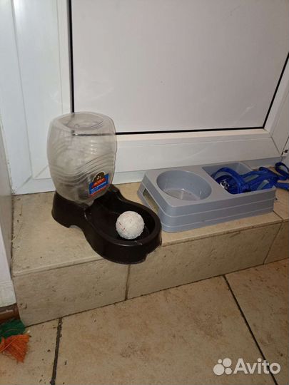 Шлейка, миски, варежка для вычесывания