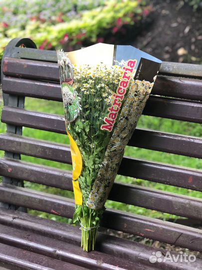 Ромашки. Танацетум. Доставка