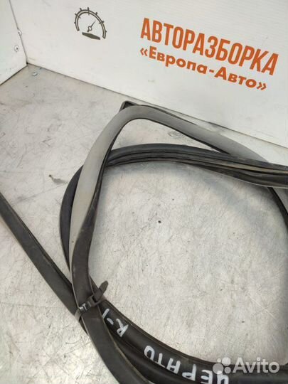 Уплотнитель передний правый Kia Cerato 1 седан 1.6