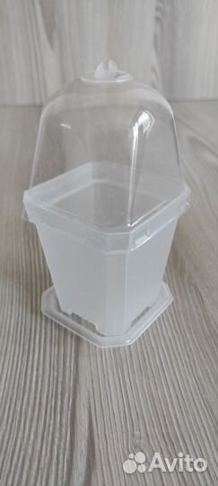 Стакан тепличка