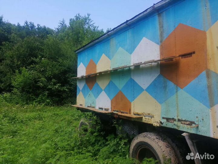 Прицеп, пчелоприцеп, пчелопавильон, пчела