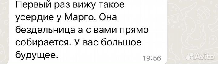 Репетитор по истории и обществознанию