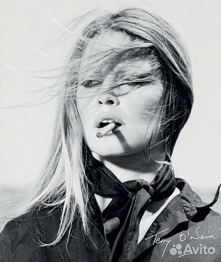 Книга Terry O’Neill