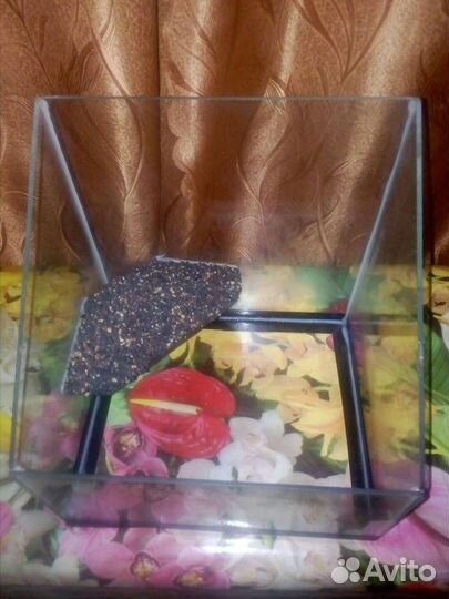 Аквариум для черепах