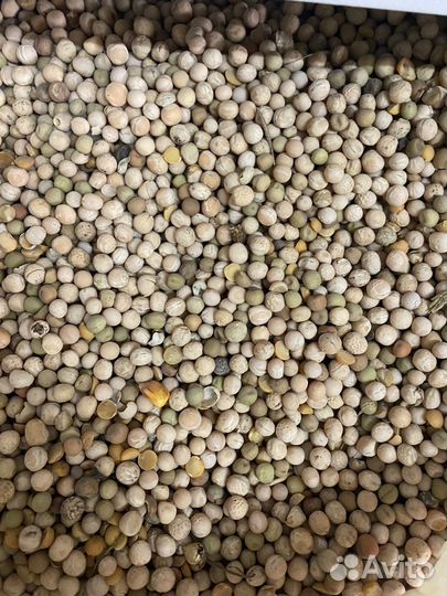 Зерно в мешках, Комбикорма