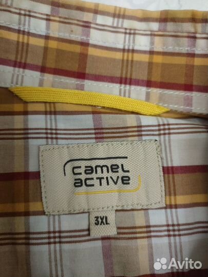 Рубашка/Фирменная/Camel Active/3XL