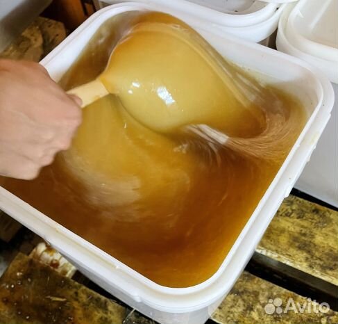 Мед оптом. Цветочный мед