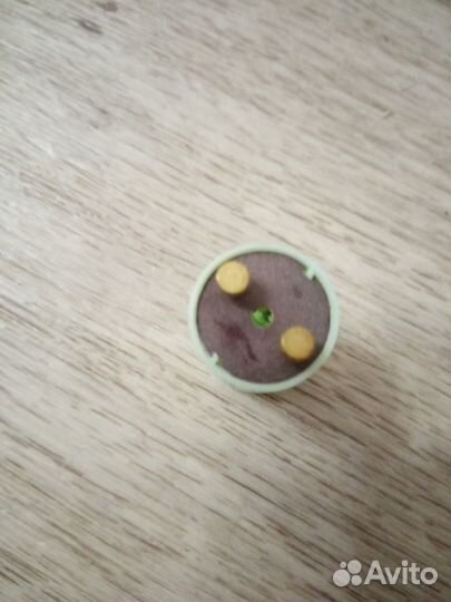 Стартер для лампы