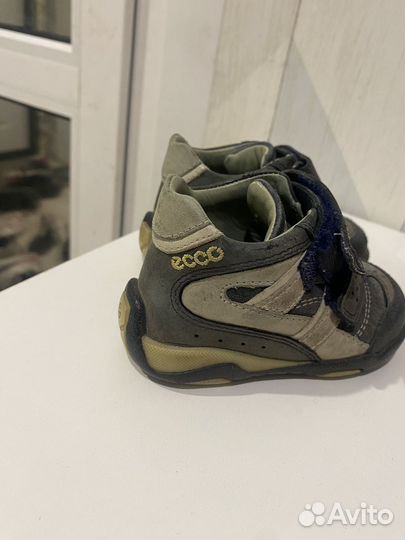 Ботинки ecco 19 размер
