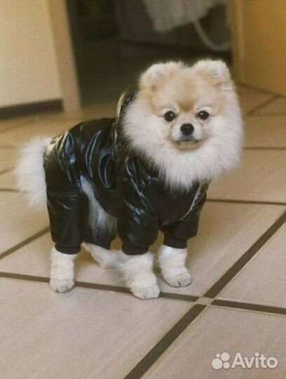 Комбинезон теплый