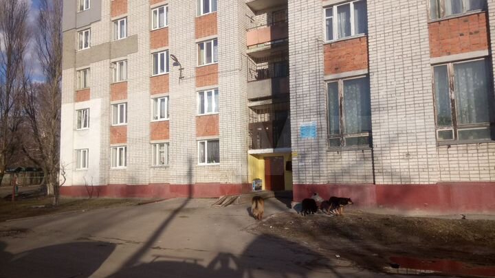 Комната 13 м² в 1-к., 4/9 эт.