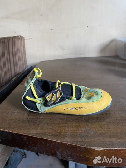 Скальные туфли