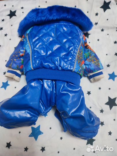 Одежда для собак мелких пород