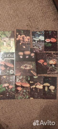 Наборы открыток СССР