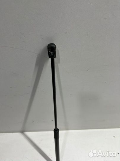 Амортизатор капота передний Toyota Camry V70/V75