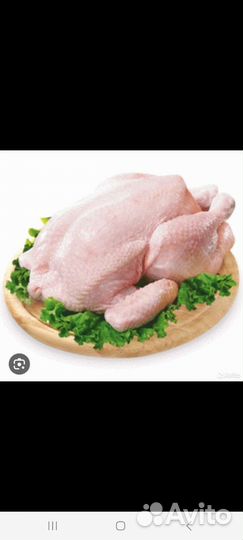 Мясо птицы