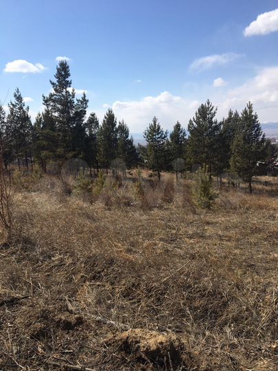 Участок 8 сот. (ИЖС)