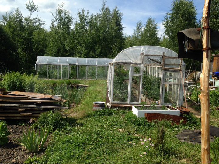 Участок 8 сот. (СНТ, ДНП)