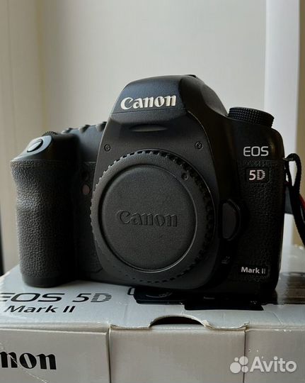 Canon 5D mark ii