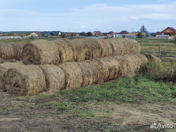 Сено