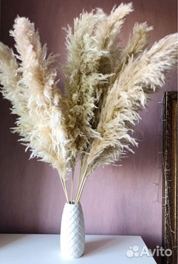 Картадерия