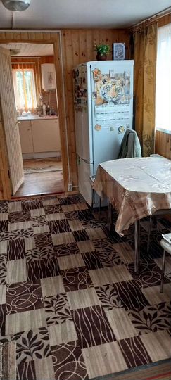 Дом 100 м² на участке 17 сот.